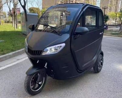 Automotive Mini Scooter Manned Electric Tricycle E Trike Three Wheel Electric Car