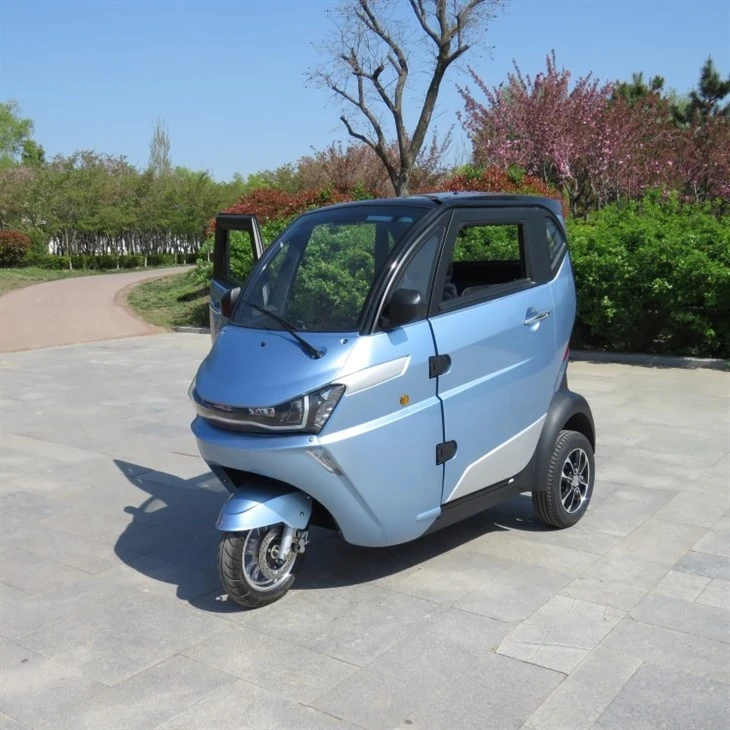 3 Wheel Tricycle Mini EEC Travel Tools Three Wheel Electric Scooter