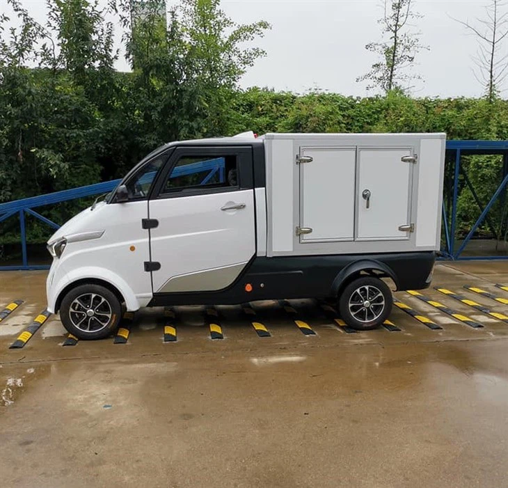 New Energy EEC Electric Mini Cargo Van Car
