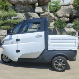 The Leading Manufacturer Of EEC COC Mini Electric Logistics Vehicle Adult Tricycle Electric Three Wheel Cargo