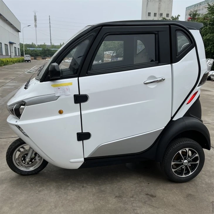 3 Wheel Tricycle EEC Travel Tools Three Wheel Electric Scooter