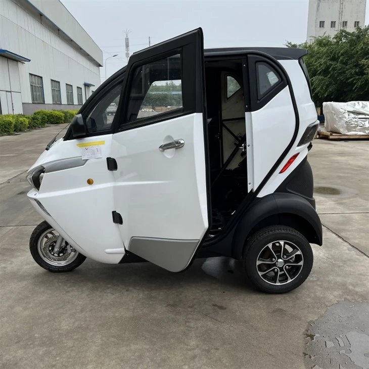 3 Wheel Tricycle EEC Travel Tools Three Wheel Electric Scooter