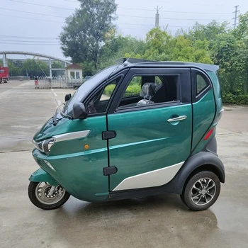 3 Wheel Tricycle EEC Travel Tools Three Wheel Electric Scooter